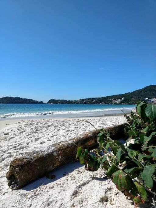 Apto Vista Mar -250Mts Da Praia 邦比尼亚斯 外观 照片
